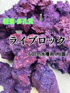 【60cm水槽用】【送料無料】多孔質・軽量ライブロック 8個入り（海水魚、サンゴ、バクテリア、背景、レイアウト）