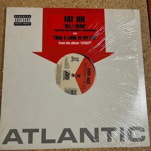 Fat Joe - All I Need / Take A Look At My Life / LP レコード