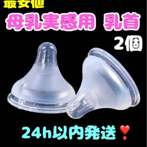 【最安値】母乳実感乳首 代替品 Mサイズ（2個）