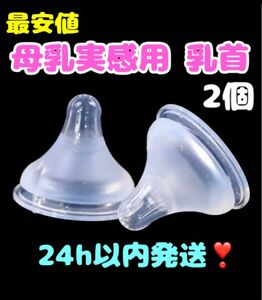 【最安値】母乳実感乳首 代替品 Lサイズ（2個）