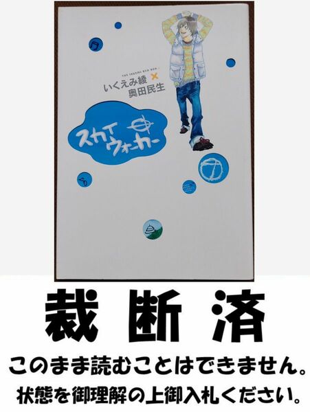 【裁断済】スカイウォーカー　／　いくえみ綾×奥田民生（小学館）