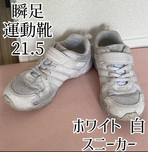 シュンソク 瞬足 スニーカー キッズ 男の子 女の子 白 黒 通学靴 幅広 軽量 運動靴 21.5cm 2E ホワイト 20 22