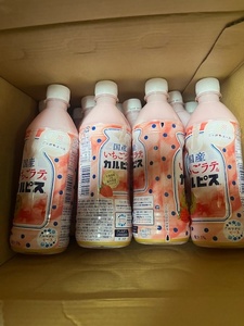 *karupis domestic production strawberry Latte &karupisP500ml×20ps.@ extra attaching with translation cheap!