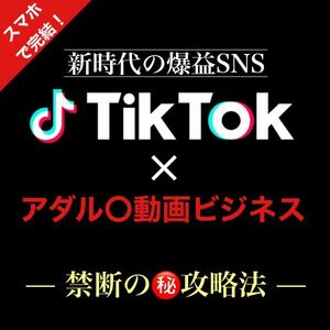 【2024年版】アダル○動画アフィリエイトで大量報酬！TikTokとX(Twitter)で作るSNS×アダル○を仕組み化する方法！スマホ1つで構築可能です