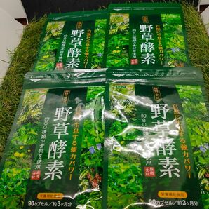 健康ダイエットサプリ　野菜酵素　12ヶ月分