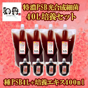 光合成細菌PSB40L培養セット バクテリア めだか らんちゅう 金魚 熱帯魚 グッピーに最適 ミジンコゾウリムシクロレラ培養