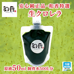 送料無料クール便★和香特選生クロレラ50ml★即日発送★ミジンコめだか金魚らんちゅうの餌 針子稚魚の青水作 ワムシゾウリムシ生餌