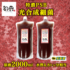 【水質浄化 免疫力強化】特濃光合成細菌PSB2000ml バクテリア めだか らんちゅう 金魚 熱帯魚 グッピーにミジンコゾウリムシクロレラ培養に