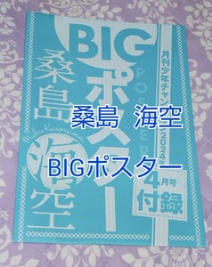 新品 桑島海空　月刊少年チャンピオン　2024年4月付録　付録 BIGポスター グラビア ポスター