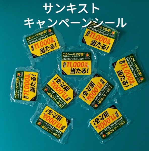 サンキスト キャンペーン応募シール☆9枚セット☆ 