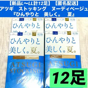 【新品L〜LL計12足】【匿名配送】アツギ　ストッキング　ヌーディベージュ『ひんやりと　美しく。　夏』