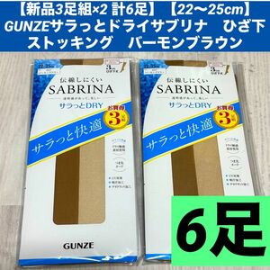 【新品3足組×2 計6足】【22〜25cm】GUNZEサラっとドライサブリナ　ひざ下ストッキング　バーモンブラウン グンゼ 