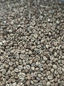  down!![ coffee raw legume ] Brazil sun tosNo.2 / 10kg