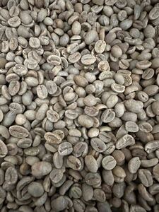  down!![ coffee raw legume ] Mandheling G1 Indonesia 10kg * free shipping!