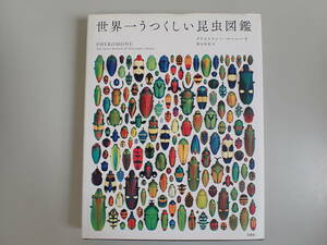 L2Bφ　世界一うつくしい昆虫図鑑　クリストファー・マーレ―/著　熊谷玲美/訳　宝島社