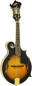 prompt decision * new goods * free shipping ARIA AM-40 F- type Flat mandolin / hard case attaching 