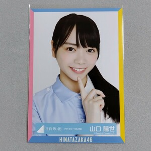 日向坂46 山口陽世 アザトカワイイ MV衣装 生写真