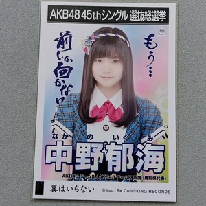 AKB48 中野郁海 翼はいらない 劇場盤 特典 生写真
