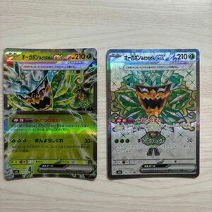 ポケモンカード 変幻の仮面 オーガポンみどりのめんex