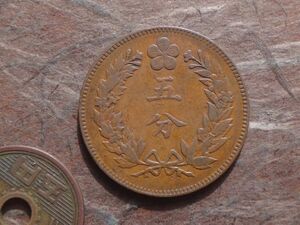  large morning .( Korea ) 5 minute copper coin . country 504 year (1895 year ) KM#1108 (27.8mm, 7.5g)