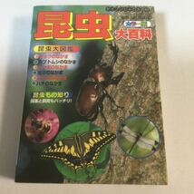昆虫大百科/ケイブンシャ/カラー版/2000年(平成12年)8月7日初版_画像1