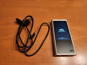 NW-ZX300 Silver Walkman 