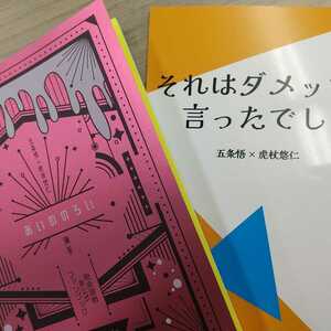 『それはダメッて言ったでしょ』『あいののろい』2冊セット 薄手様 呪術廻戦 同人誌 小説 五悠 五条悟×虎杖悠仁 匿名 C94,C95