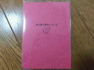 僕は愛を燃やしている suyaa/まりな様 同人誌 小説 五悠 呪術廻戦 五条悟×虎杖悠仁 匿名配送 A35