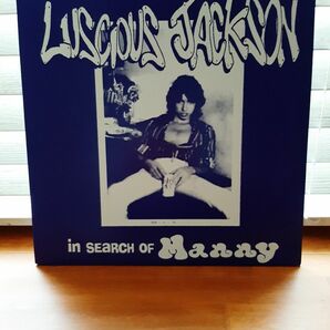 LUSCIOUS JACKSON In Search Of Manny