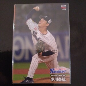  Calbee Professional Baseball chip s2024 the first . regular card 025 Tokyo Yakult Swallows Ogawa ..