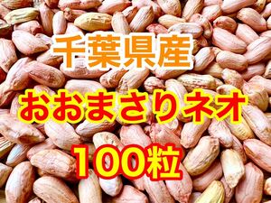 千葉県産　落花生　おおまさりネオ種100粒