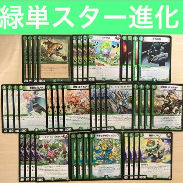 【構築済みデッキ】緑単スター進化　スリーブ付き　デュエルマスターズ　格安デッキ　5cコントロール