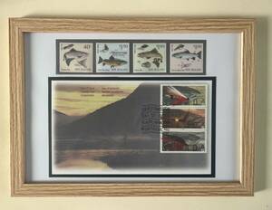  fly & trout stamp photo frame frame 