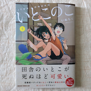 ★いとこのこ【１巻】初版・帯あり（検索用：いぬちく ドラゴンコミックスエイジ KADOKAWA/角川書店 宇崎ちゃんは遊びたい！ 全巻）