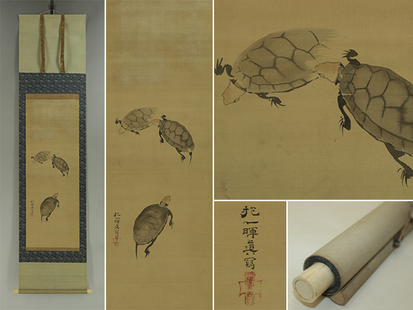 模写】酒井抱一【亀】◇絹本◇合箱◇掛軸 s02106 山水、風月 模写】酒井抱一【亀】◇絹本◇合箱◇掛軸 s02106 山水、風月