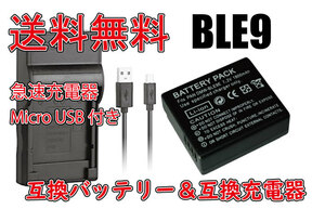 【送料無料】バッテリー＆充電器 パナソニック DMW-BLE9/DMW-BLG10 急速充電器 Micro USB付き AC充電対応 シガライター充電対応 互換品