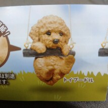 未開封 ぶらぶらりーず 〜ゆれるわんこたち〜 トイプードル ペット 生き物 イヌ いぬ 犬 dog ピーナッツ・クラブ ガチャ フィギュア_画像1