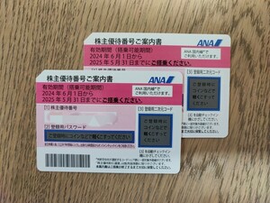 ＡＮＡ（全日空）の株主優待券2枚セット