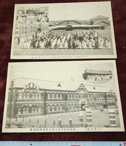 Art hand Auction rarebookkyoto h336 Postcard commemorating the construction of the Gyeongseong-fu Gyodong Normal School in Korea, 1920, Photographs are history, Painting, Japanese painting, Flowers and Birds, Wildlife