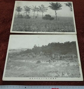 rarebookkyoto h372　戦前朝鮮　師団対抗軍事演習写真　絵葉書　京城発展社　1920年　野津集文堂　写真が歴史である