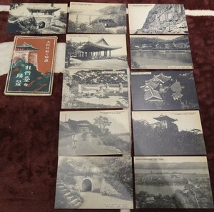 Art hand Auction rarebookkyoto h606 战前的韩国, 平壤, 牡丹戴, 明信片, 1920, 大正照片工艺品, 摄影是历史, 绘画, 日本画, 花鸟, 野生动物