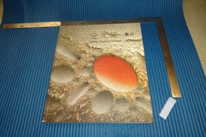 Art hand Auction Rarebookkyoto F4B-190 كتالوج معرض مملكة جوسون في جميع أنحاء اليابان متحف موري للفنون حوالي عام 2010 تحفة فنية, تلوين, اللوحة اليابانية, منظر جمالي, الرياح والقمر