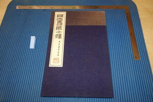 Art hand Auction rarebookkyoto F6B-641 전쟁 전 이즈미야, 진시의 십종, 콜로타입 아트 컬렉션, 하마다 코사쿠, 큰 책, 이즈미야 하쿠코칸, 1930, 사진은 역사이다, 그림, 일본화, 꽃과 새, 야생 동물