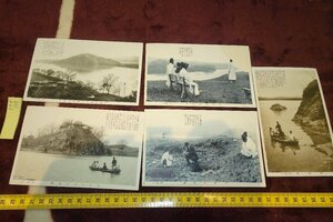 Art hand Auction rarebookkyoto F9B-109 Prewar Joseon Dynasty Buyeo, famous place photo postcards, 5 sheets, special edition, made around 1920, Kyoto antiques, Painting, Japanese painting, Landscape, Wind and moon