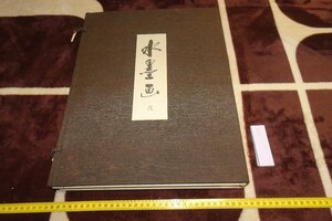 Art hand Auction rarebookkyoto I775 Ink painting 2 Large book Mainichi Newspapers 1973 Photography is history, Painting, Japanese painting, Flowers and Birds, Wildlife