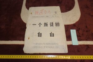 Art hand Auction rarebookkyoto I876 Art Criticism Materials from the Cultural Revolution Confession of a Rebel Huang Runhua Not for Sale 1968 Photography is History, Painting, Japanese painting, Flowers and Birds, Wildlife