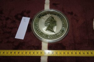 rarebookkyoto ｇ184　SILVER・オーストラリア製・銀貨・女王・カワセミ・３０ドル・本物保障・1枚・純銀1000g・1995年 資産になる・中古・