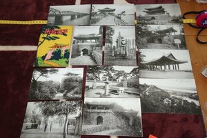 Art hand Auction rarebookkyoto h788 Prewar Joseon Dynasty Pyongyang Sights Photo Postcards, Myeongsin Paper, Sunrise in Seoul, 12 pieces, 1920, Masterpiece, Masterpiece, Painting, Japanese painting, Flowers and Birds, Wildlife