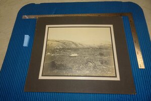 Art hand Auction rarebookkyoto F8B-195 Prewar Joseon Dynasty April 28th Cherry Blossom Viewing Party, Government General of Korea Large 1912 Photographs are history, Painting, Japanese painting, Flowers and Birds, Wildlife