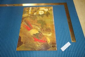 Art hand Auction Rarebookkyoto F4B-657 الرسم الصيني والخط كتالوج المعرض السادس Eisei Bunko حوالي عام 1978 تحفة فنية, تلوين, اللوحة اليابانية, منظر جمالي, الرياح والقمر